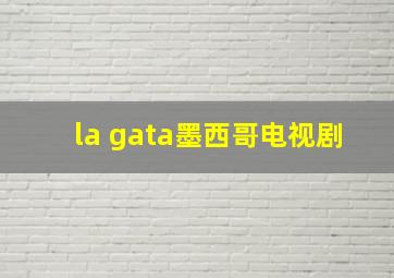 la gata墨西哥电视剧